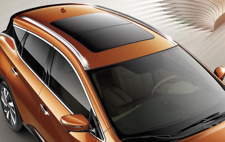 Sunroof Protection Film Installation Experts 1