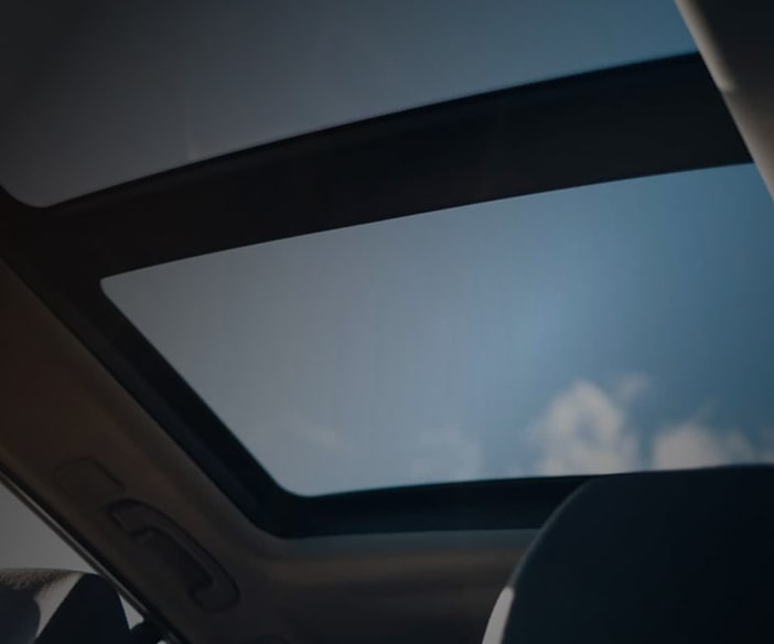 Car Protection Packages in Alexandria, Sydney 1